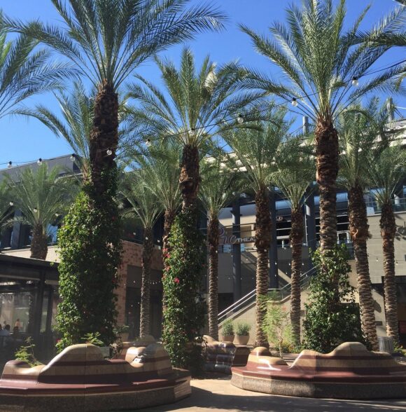IPIC THEATERS