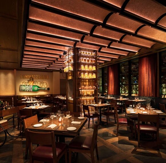 Moxy Chelsea